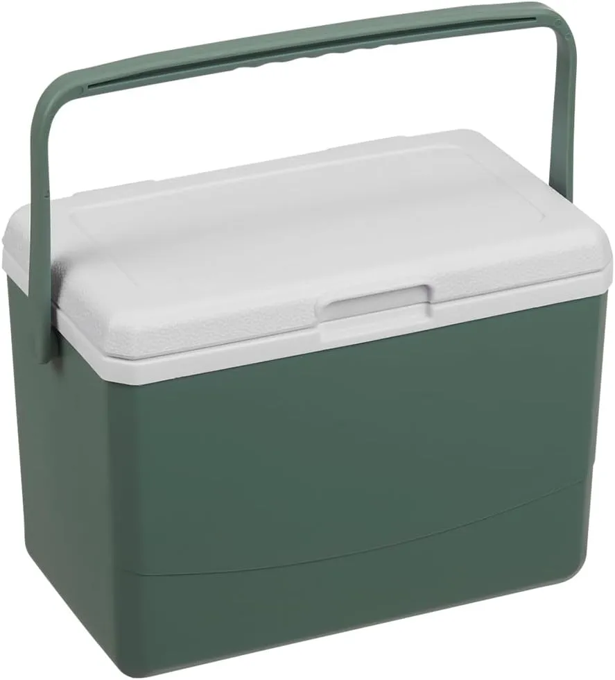 3L Insulated Portable Cooler - Compact Classic Series Leakproof Hard Cooler with 3-Day Ice Retention, Mini Outdoor Cooler for Picnics, Day Trips & Car Camping (Lightweight & BPA-Free)
