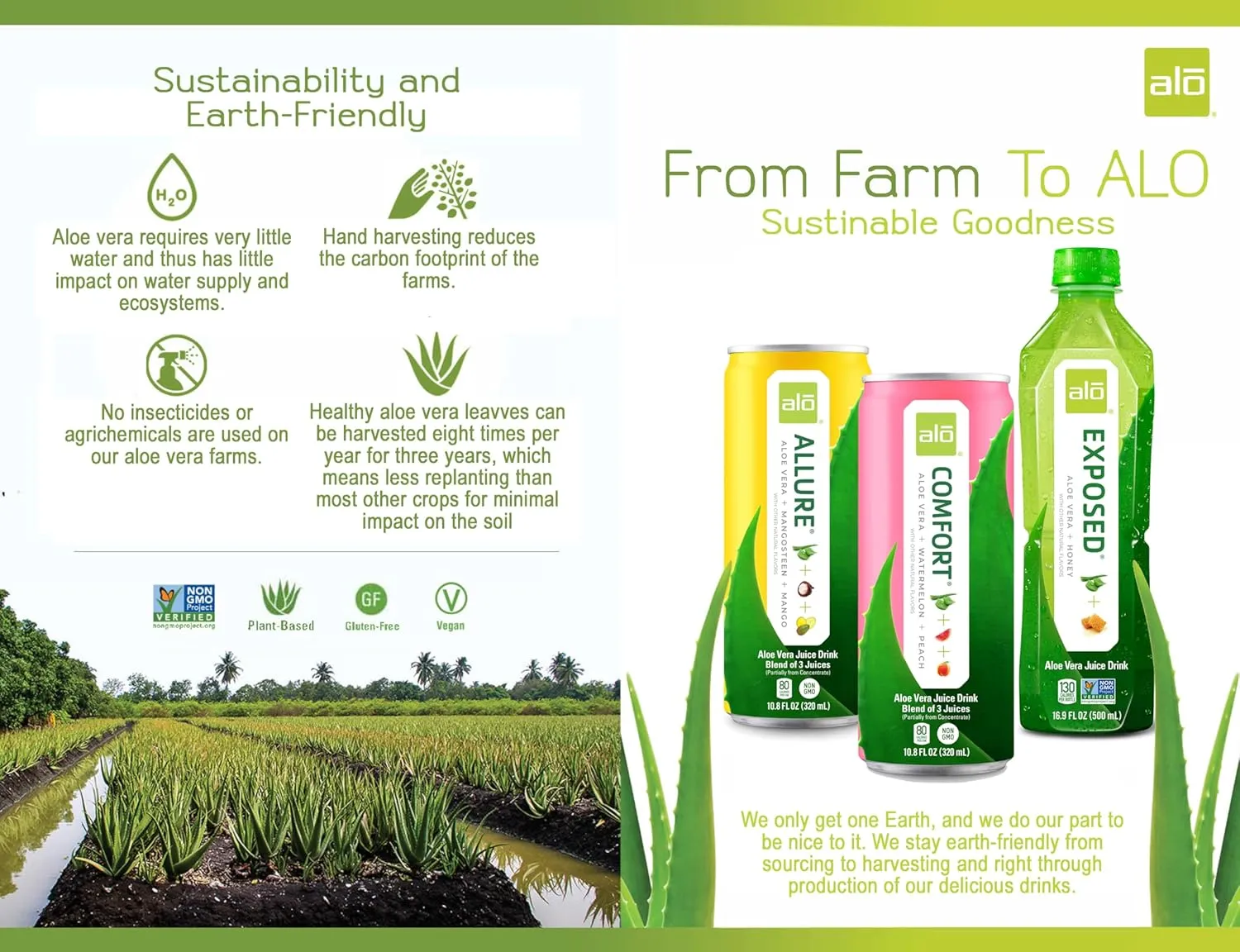 ALO Drink |ALO Allure Aloe Vera Juice Drink | Mango & Mangosteen Flavor | 12 Pack | 10.8 FL OZ (320mL) Cans