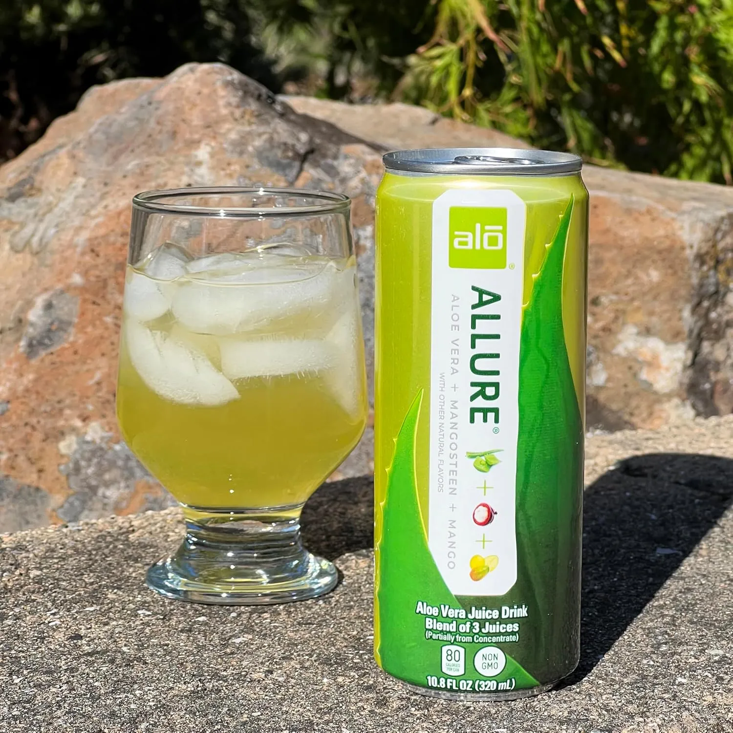 ALO Drink |ALO Allure Aloe Vera Juice Drink | Mango & Mangosteen Flavor | 12 Pack | 10.8 FL OZ (320mL) Cans