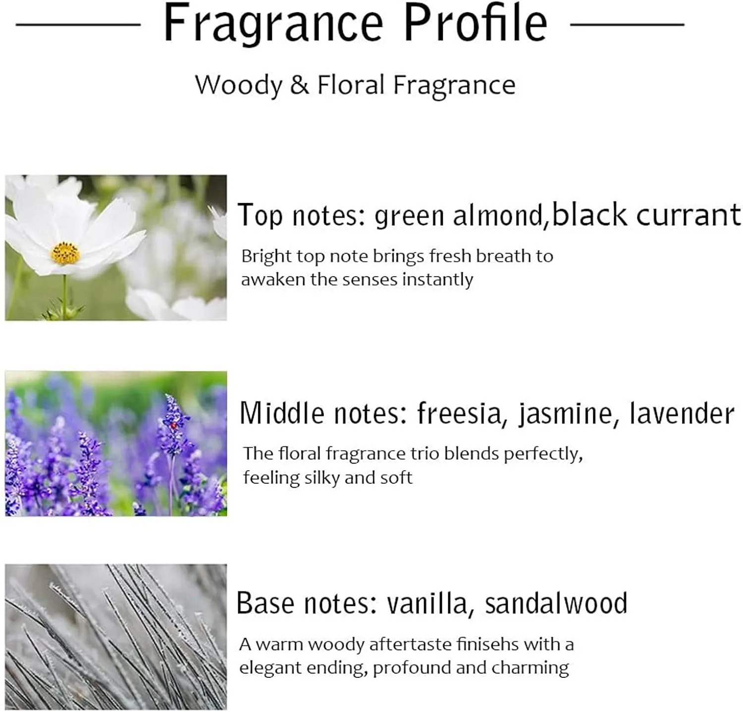 Binca Vidou Reed Diffuser Set, Bergamot Vanilla Lavender and Jasmine Scented Oil Reed Diffusers for Bedroom Living Room Office, Giftable & Stress Relief 150 ml/5.07 oz