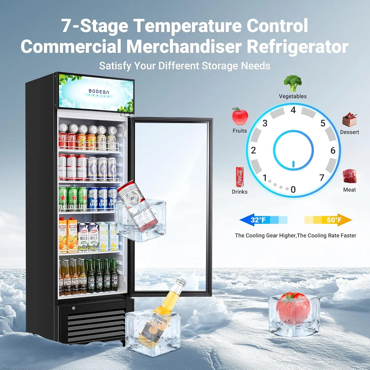 BODEGACOOLER Commercial Beverage Refrigerator and Cooler, Commercial Merchandiser Refrigerator with Soft LED Light, Adjustable Shelves, Display Fridge with 420 cans & 120 bottles,12.5 Cu.Ft.