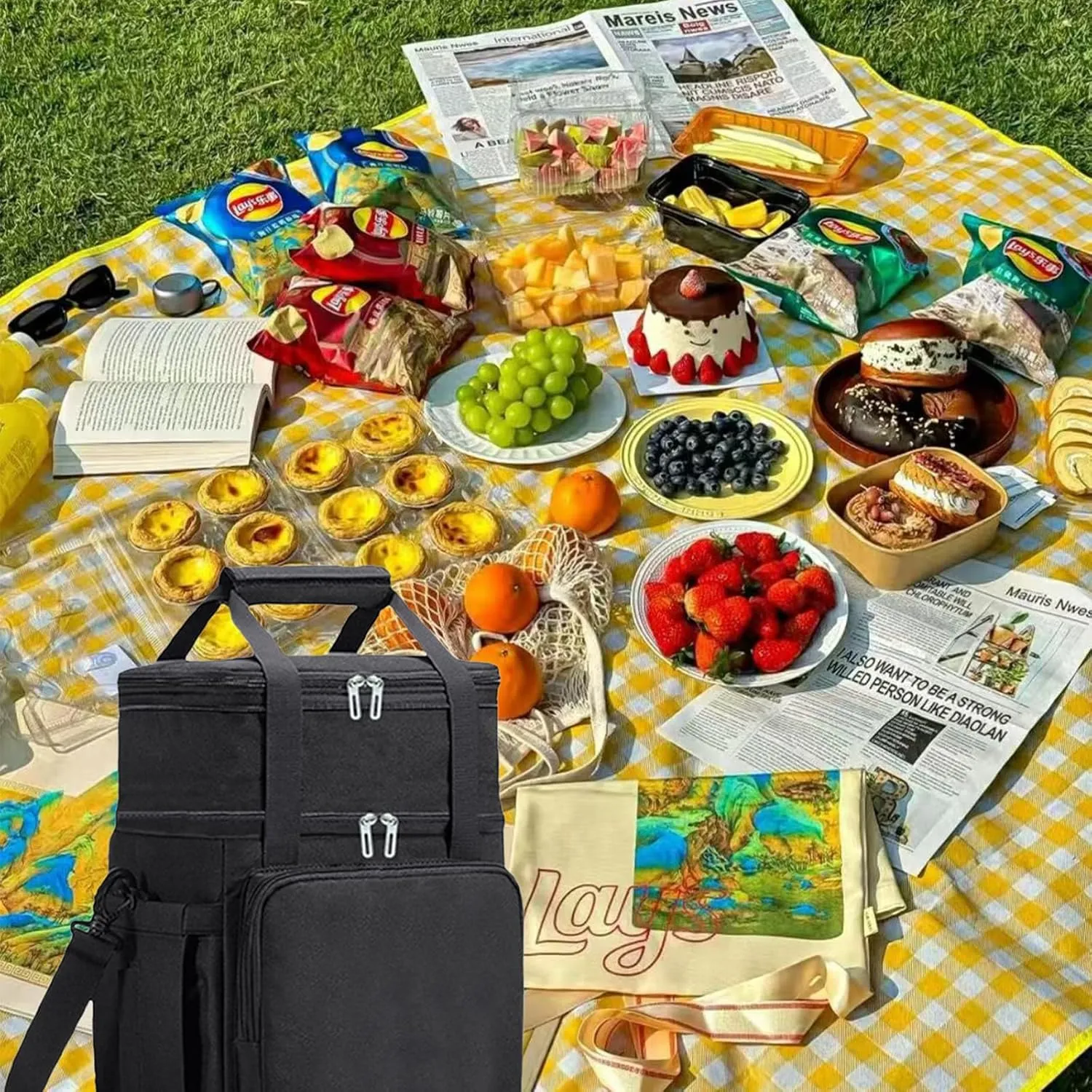 Car Camping Coolers for Zeekr 001/Zeekr 007/Zeekr 009/Zeekr 7X/Zeekr Mix/Zeekr X, Leak Proof Cooler, Portable Lightweight Ice Chest Box, Compartments Waterproof Insulated Bag