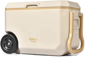 Car Trunk Insulated Box Cooler Bag Insulated Trunk Insulation, Suitable for Packard Caribbean/Clipper/Eight/Executive/Pacific/Patrician Camping - Easy to Clean,C 38L