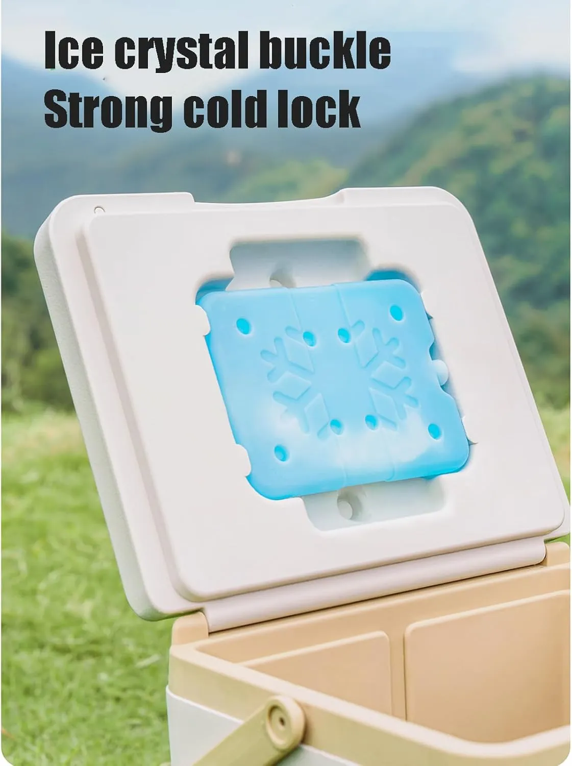 Car Trunk Insulated Box Cooler Bag Insulated Trunk Insulation, Suitable for Packard Caribbean/Clipper/Eight/Executive/Pacific/Patrician Camping - Easy to Clean,C 38L