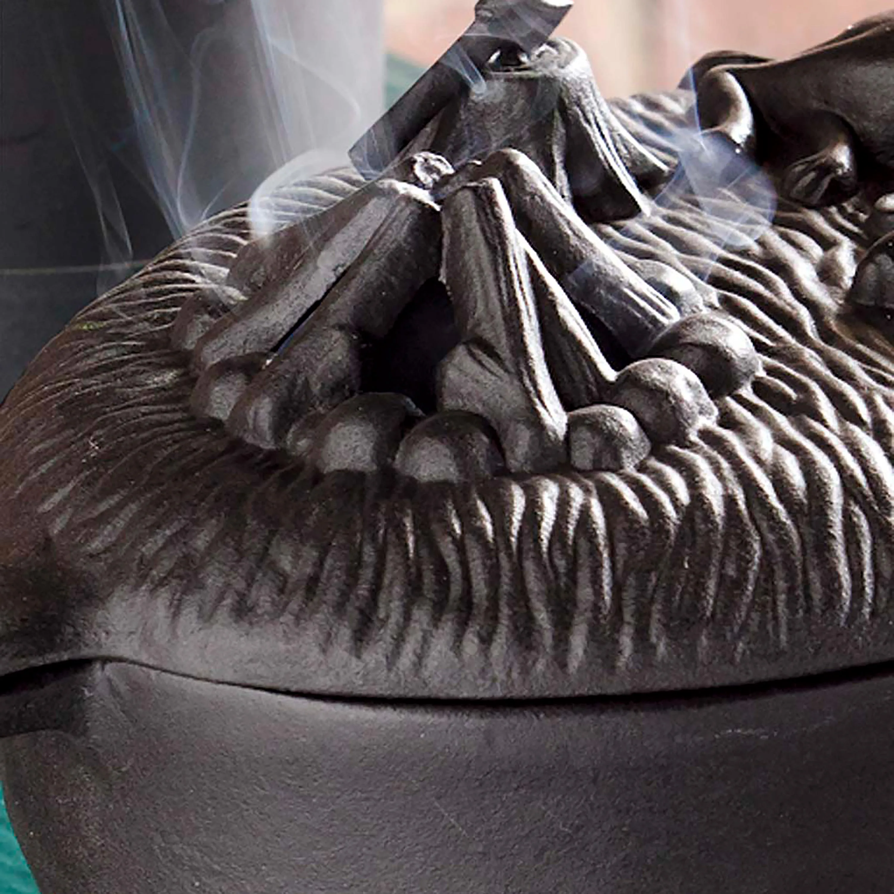 Cast Iron Dog Wood Stove Steamer
