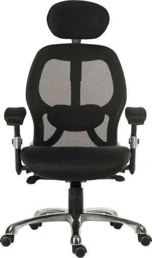 Cobham Ergonomic Mesh Office Chair