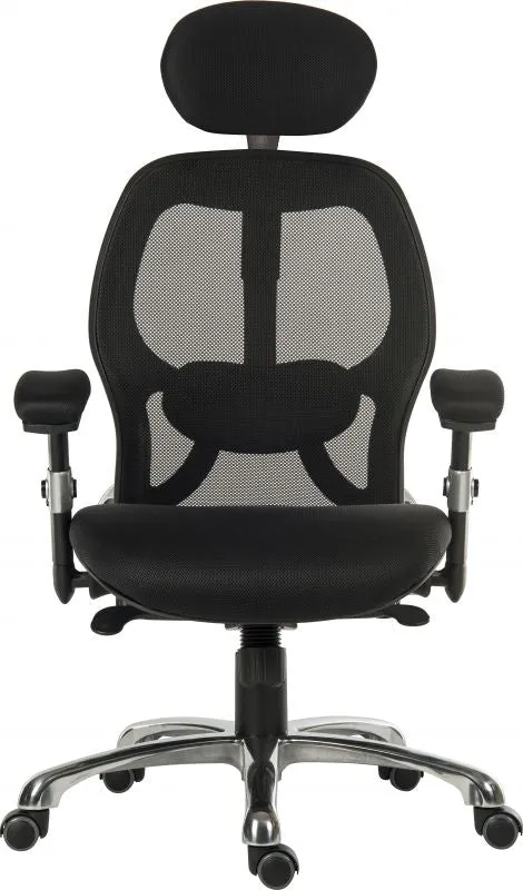 Cobham Ergonomic Mesh Office Chair