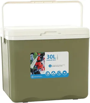 Cooler for Aston Martin DB4/DB5/DB6/DB7/DB9/Lagonda/Virage Insulated Hard Ice Box Large High-Performance Storage Box Portable Cool Picnic Box Festival Camping Accessories,C-38 * 30.5 * 34.5cm