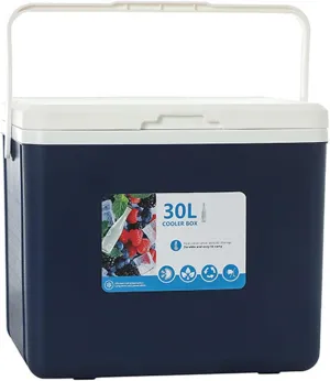 Cooler for Chevrolet Cruze/Express/Orlando/Silverado/Suburban/Tahoe Insulated Hard Ice Box Large High-Performance Storage Box Portable Cool Picnic Box Festival Camping,B-38 * 30.5 * 34.5cm
