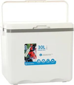 Cooler for MG 3/3 (AU)/ (ME)/4/4 (CN)/5 (CN)/5 (ME)/5 EV/HS/Midget Insulated Hard Ice Box Large High-Performance Storage Box Portable Cool Picnic Box Festival Camping,A-38 * 30.5 * 34.5cm