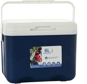 Cooler for Packard Caribbean/Clipper/Eight/Executive/Pacific/Patrician Insulated Hard Ice Box Large High-Performance Storage Box Portable Cool Picnic Box Festival Camping,B-27 * 18 * 23cm
