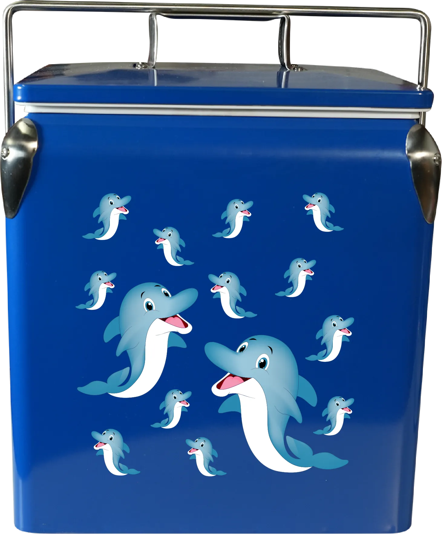 Dolphin Cooler Box
