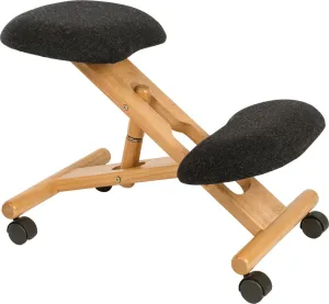 Ergo Posture Kneeling Chair