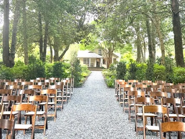 Fruitwood Folding Chairs