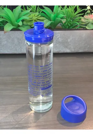 Glass water bottle