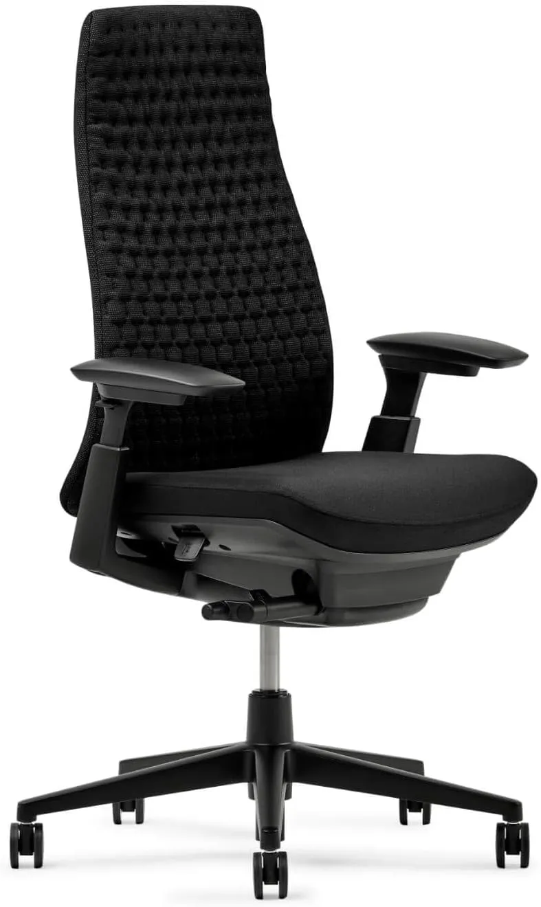 Haworth Fern Ergonomic Office Chair – Stylish and Innovative Desk Chair with Digital Knit Finish - with Lumbar Support (Charcoal Black)