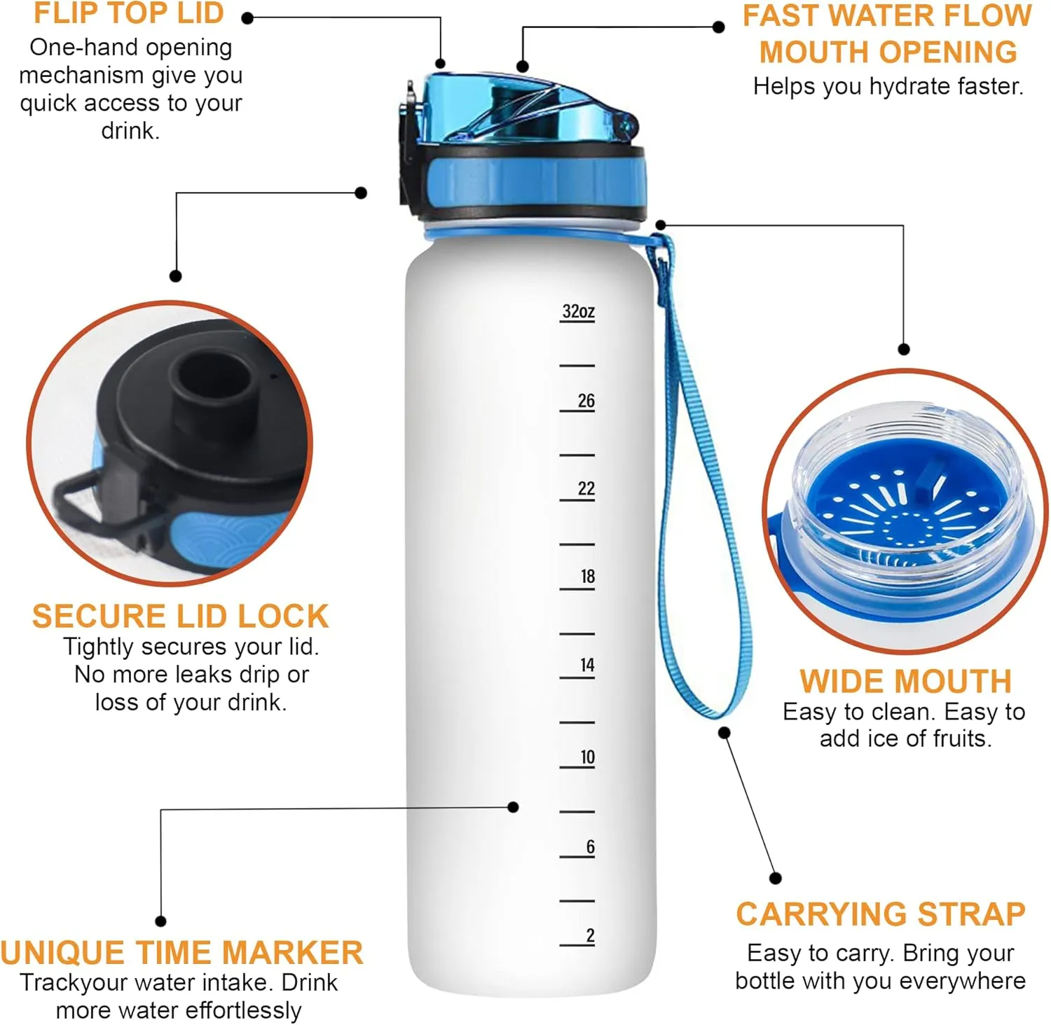 Hyturtle Manatee Water Bottle No Title 11042023 (Manatee 10)
