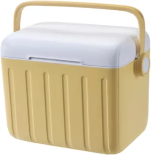 Insulated Cooler Box 6L Portable Ice Chest for Travel Outdoor Boat BBQ Cream Yellow