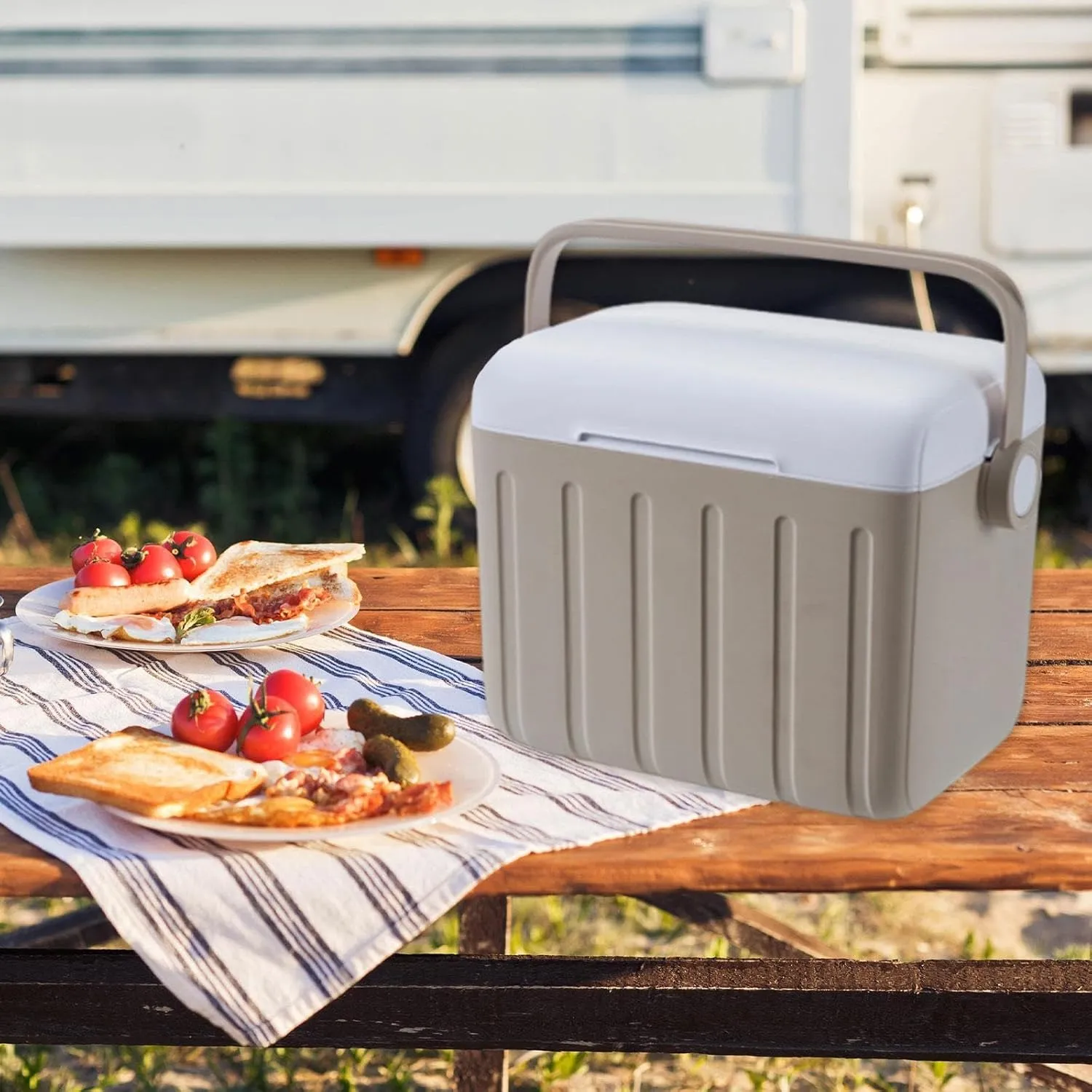 Insulated Cooler Box Storage Container 6L Cold/Heat Preservation Cooler Ice Chest Box for Camping Sports Home Boat Stall