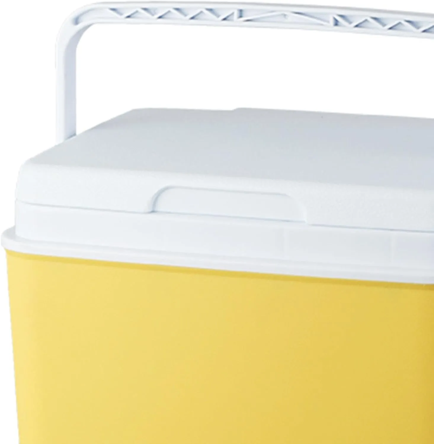Insulated Ice Cooler Camping Storage Case Multifunctional Hard Leakproof Organizer Ice Chest Box for BBQ Camping Beach Picnic