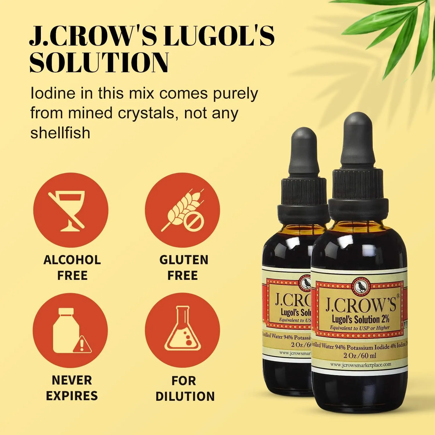 J.CROW'S® Lugol's Solution of Iodine 2% 2 oz (1 Bottle) – Premium Potassium Iodide Liquid, Supports Thyroid & Energy, Gluten &, Alcohol-Free Natural Brine Extract, No Expiration