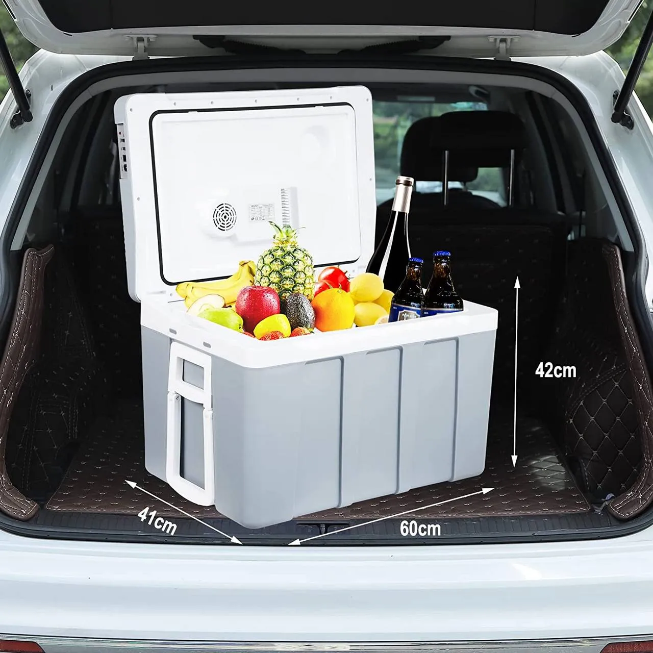Rootz 50L Portable Electric Cooler and Warmer - Mini Fridge - 2-in-1 - AC/DC Adapter - Eco-Friendly - 60cm x 41cm x 42cm