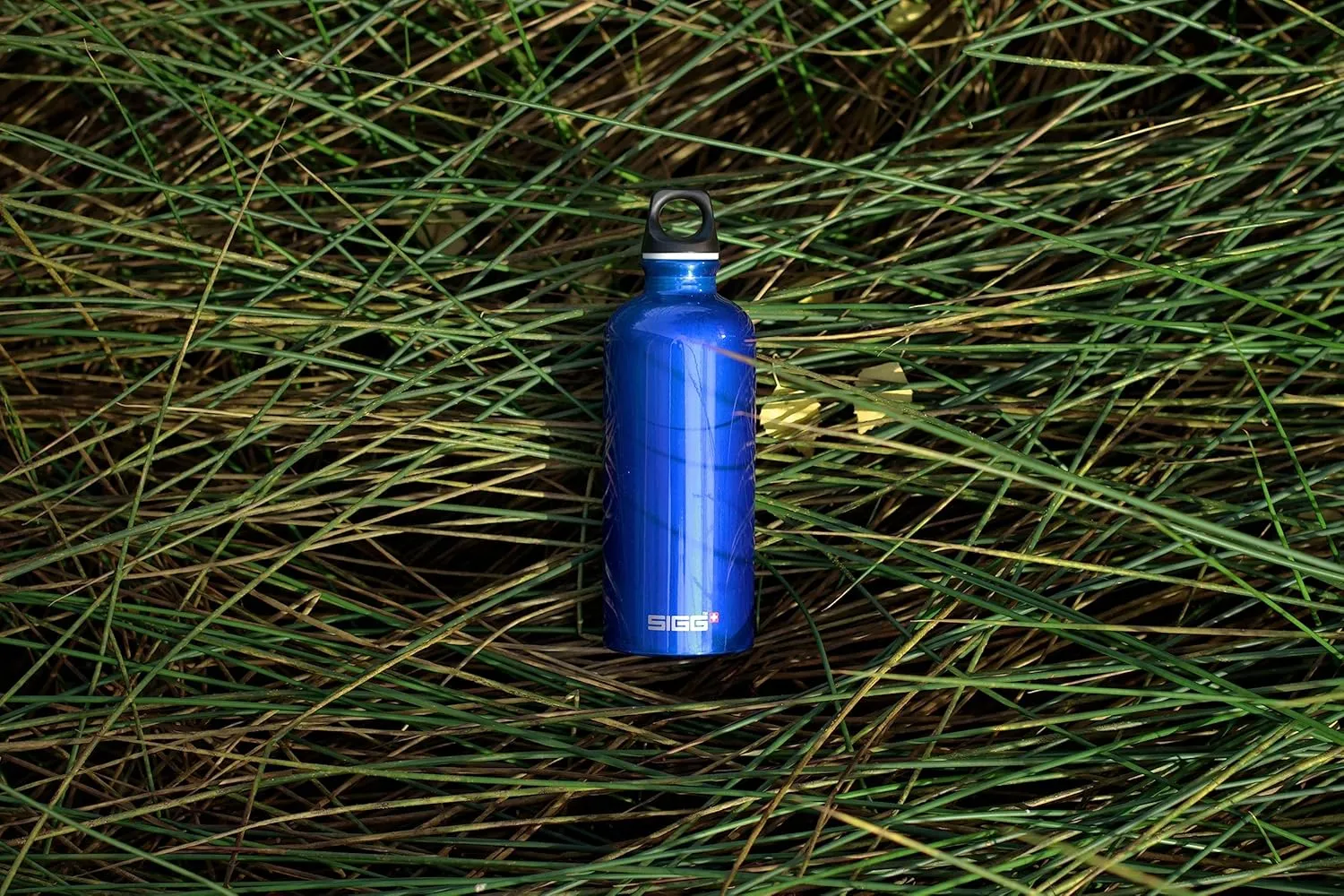 SIGG - Recycled Metal Water Bottle - Traveller - Made in Switzerland - Carbonated Drinks - BPA-Free - 20 Oz