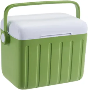 YIJU Insulated Cooler Box Storage Container Versatile Cold/Heat Preservation Cooler Ice Chest Box for Shipping Food Household BBQ